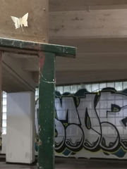 Schmetterlinge bei der Parking:Art Aachen