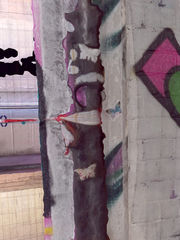 Schmetterlinge bei der Parking:Art Aachen