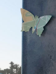Schmetterling am Playa las Vistas auf Teneriffa